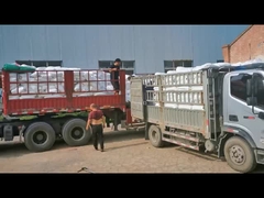 Klorinasi polietilen CPE 135A PVC Impact Modifier Untuk pipa PVC